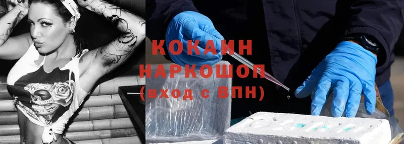 Cocaine FishScale  закладка  Лысково 