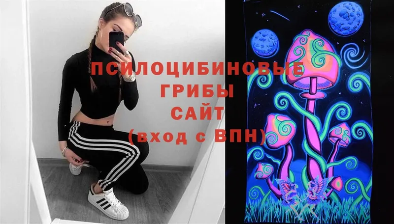 Псилоцибиновые грибы Psilocybe  Лысково 